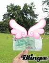 fly away