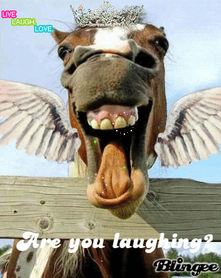 Funny Horse Animated Picture Codes And Downloads 63389978 213514159 Blingee Com Share the best gifs now >>>. blingee com