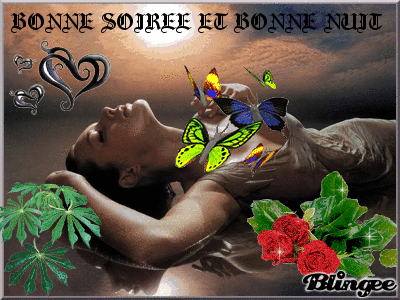 BONNE SOIREE , BONNE NUIT