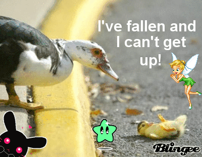 Https Encrypted Tbn0 Gstatic Com Images Q Tbn 3aand9gcqrz1ekapblme4tb5dcrjiebzlrhs9wmtf41w Usqp Cau