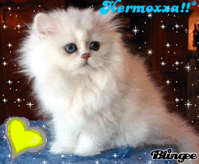 hermoxxa!!*