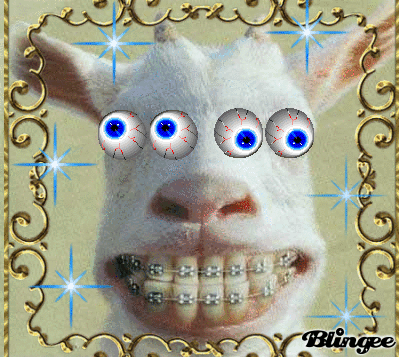 http://image.blingee.com/images15/content/output/000/000/000/3d2/206533584_521167.gif