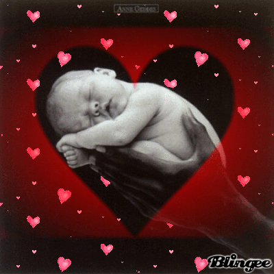 Baby Anne on Anne Geddes Baby Bild  64166779   Blingee Com