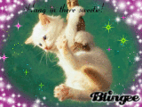 Hang In There