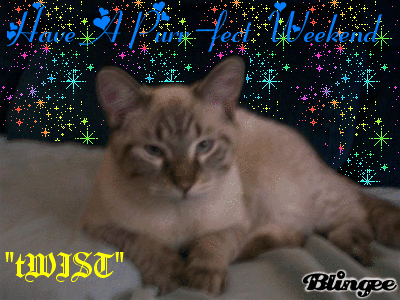 purr_fect