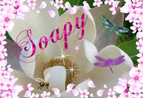 soapydragonfly soapydragonfly