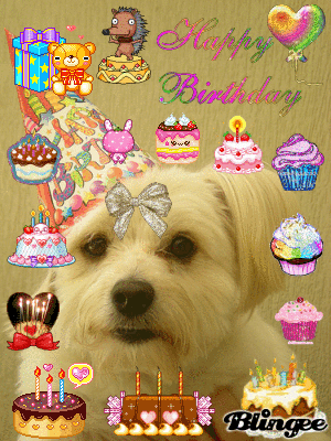 Happy Birthday Puppy Animated Picture Codes And Downloads 65507695 232462982 Blingee Com Here is a huge collection of the best birthday celebration wishes, cakes, candles and fireworks that you can send and share with your friends. blingee com