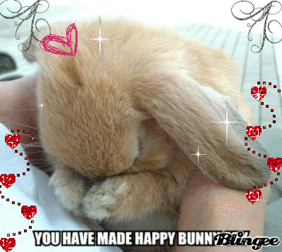 You Have Made Happy Bunny Cry Bild 65784196 Blingee Com Nur für gamerinnen und rx gamerinnen fans blingee com