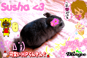 Susha <3