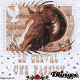 Blingee