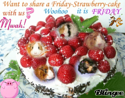 friday