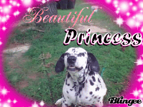 The beautiful Princess Anastasia The beautiful Princess Anastasia