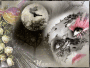 le visage