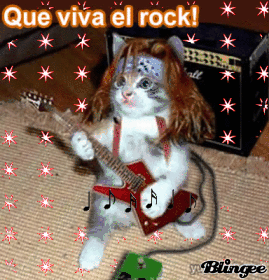gato rockero