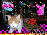 k@r@m3l l3 p!t! ch@t