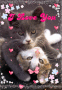 cat enamorados