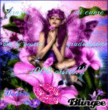 1000 visite