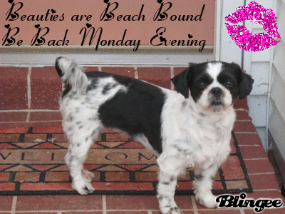 beach bound