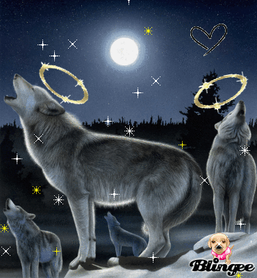 Lupi Immagini Animate Da Condividere 69181093 Blingee Com