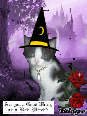 Little Witch N Training