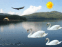 lago