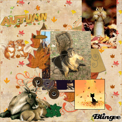 autumn