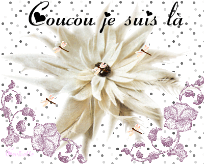 cerisette cerisette