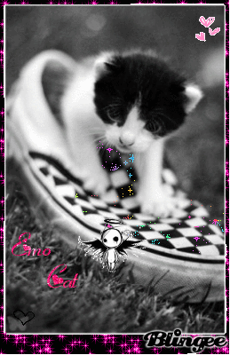 emo catt emo catt