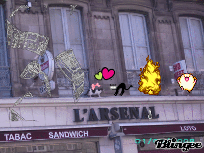 une chatte sur un toit brûlant
