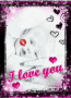 Baby Love 