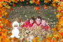 fall
