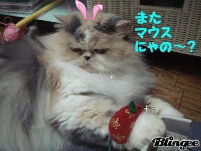 パパからのプレゼント☆