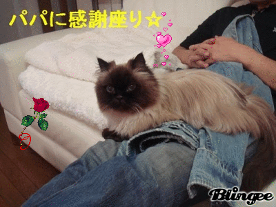 パパ、あいちてる！うふっ♪