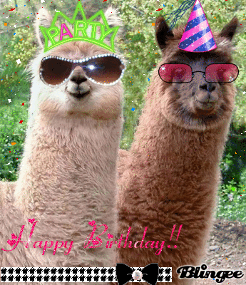 the happy birthday llamas Picture #70583907 | Blingee.com