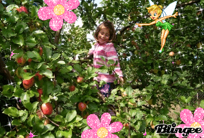 Apfelbaum