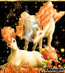 Ponyta & Galopa Ponyta & Galopa