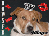 Bling King