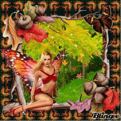 Fairy Fairy