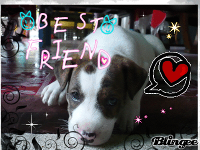 My Little Dog