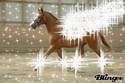 Shining Star Shining Star