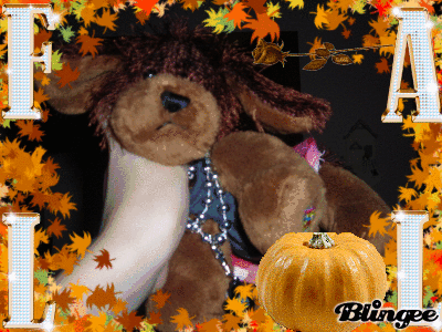 fall webkinz fall webkinz