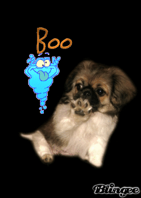 Boo