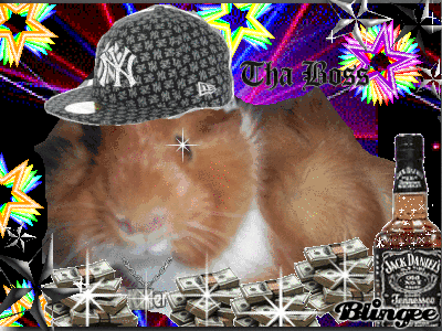 Gangster Guinea Pig Picture #72739439 | Blingee.com