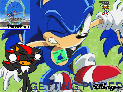 Funny Sonic Tags Funny Sonic Tags