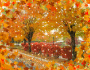 Autumn leaves Autumn leaves