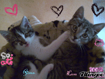 [verlinkte Grafik wurde nicht gefunden]