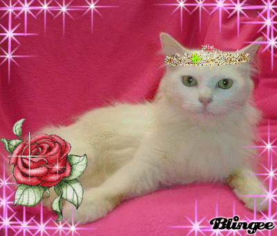 princess