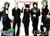 The gazette