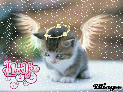 Https Encrypted Tbn0 Gstatic Com Images Q Tbn 3aand9gcrowxvujm9lsuqvxba Z3rwmfrmow0vfskjmw Usqp Cau