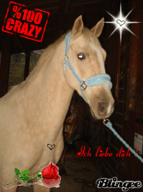 7 * d@ns m'hey z'yeuh'x !